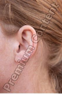 Ear texture of street references 451 0001